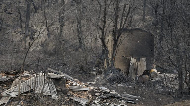 Incëndiös forestales registrados en Corea del Sur han afëctado 27 sitios patrimoniales