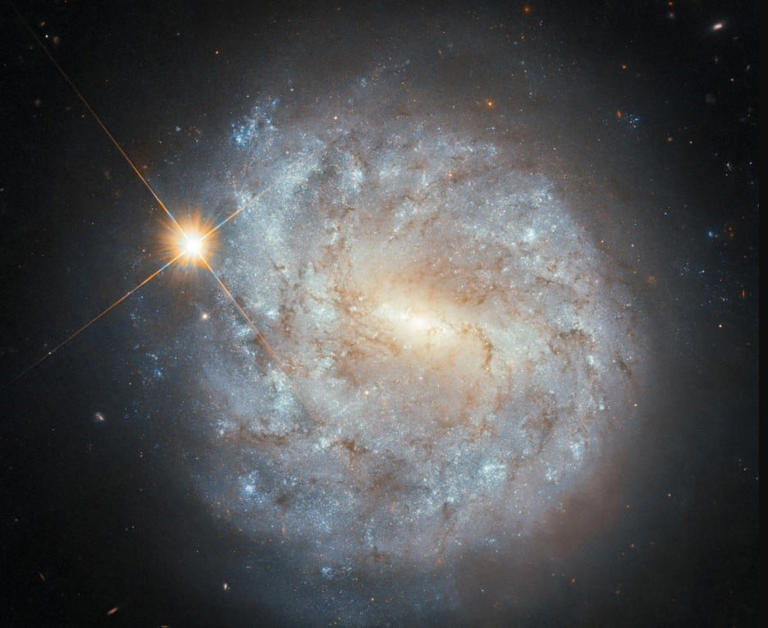 El telescopio Hubble capta una estrella similar al sol en una galaxia espiral a 45 millones de años luz