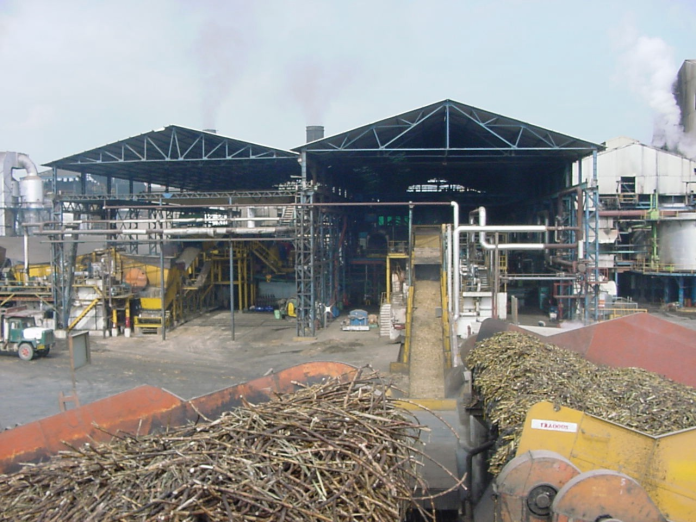 Éxito en la zafra: Portuguesa lidera con un 82,45% de molienda y más de 2,2 Millones de toneladas de caña