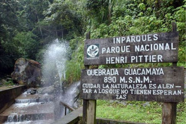 Parque Henri Pittier: una conexión con la naturaleza para el disfrute de estos Carnavales Felices y Seguros 2025 (+ Detalles)