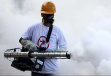 Venezuela implementa estrategia nacional contra el dengue, con operativos masivos cada ocho semanas