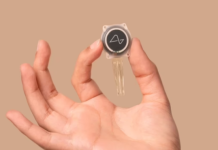 Neuralink espera vencer la ceguera completa en personas con las visual Blindsight para finales de 2025, según Elon Musk