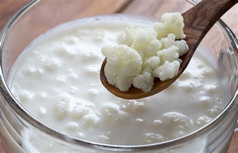 ¿Por qué todo el mundo habla del kéfir? La bebida fermentada que arrasa en salud y bienestar