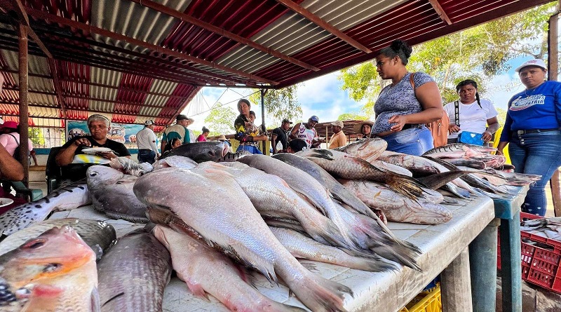 Activan primera planta fileteadora de pescado de oriente en Monagas (+ Detalles)