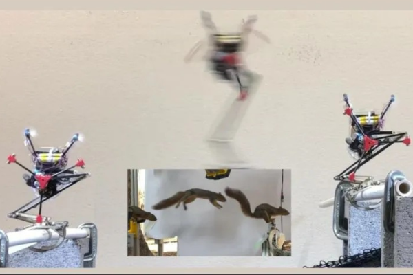 Salto, el Robot Ardilla: innovación en agilidad robótica que revoluciona la construcción y la exploración ecológica