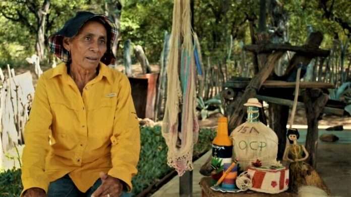 Película venezolana sobre el cocuy gana festival en la India: «Global Festival of Journalism & AVGC Noida 2025»