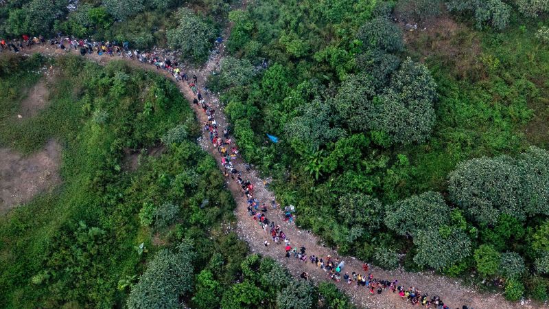 Presidente de Panamá anuncia el cierre total de los centros migratorios en la selva del Darién