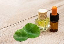¿Por qué la centella asiática es tan recomendada para incorporarla a tus tratamientos de belleza?