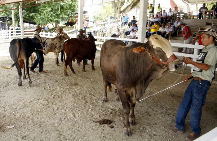 Ferias comerciales y agroproductivas en Mérida dejan un saldo favorable luego de los Carnavales