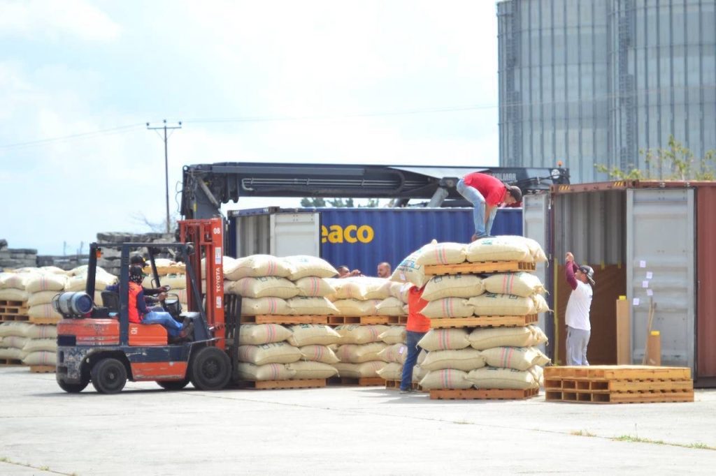 Barquisimeto se consolida como centro estratégico: ¡70 toneladas de café listas para exportación!