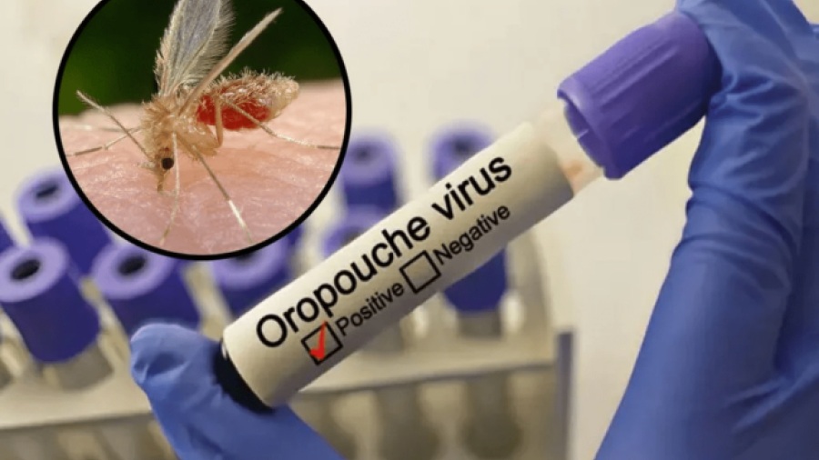 Confirmados los primeros casos del virus Oropouche en Venezuela