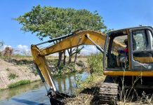 Alcaldía mantiene activas jornadas de limpieza en caños y canales de Valencia (+ Fotos)