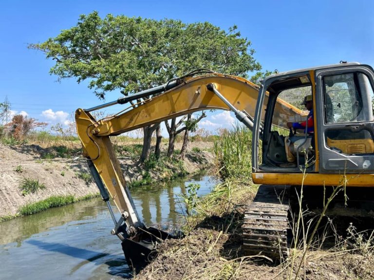 Alcaldía mantiene activas jornadas de limpieza en caños y canales de Valencia (+ Fotos)