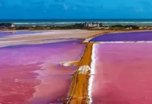 Salinas de Cumaraguas en el estado Falcón: donde el rosa pinta el caribe venezolano