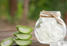 ¿Cuáles son los beneficios de dormir con aloe vera en el rostro? Esto dice la ciencia