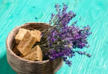 ¡Una alternativa sin químicos! Aprende cómo aplicar la salvia para teñir el cabello de forma natural