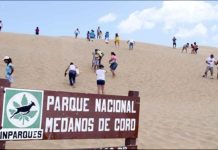 Plan Nacional Turístico fortalece estrategias para el desarrollo de los Médanos de Coro (+ Detalles)