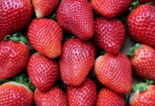 El consumo diario de fresas frescas reduciría el dôlor mênstrual crónico en mujeres jóvenes, según ensayo clínico (+ Detalles)