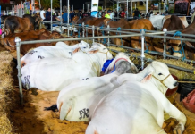 Gobernador Luis Marcano inauguró la Feria Agroturística Anzoátegui 2025 en El Tigre (+ Fotos)