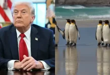 Donald Trump también impuso aranceles a dos islas habitadas solo por pingüinos y focas