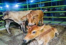 Feria Agroturística busca promover el crecimiento económico en el estado Anzoátegui