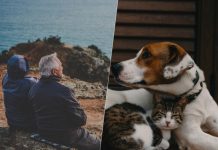 Cada vez tenemos más pruebas de que los animales nos ayudan a aplacar la soledad (+ Detalles)