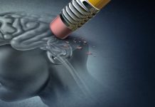 Lo primero que una persona debe hacer para mantener la memoria y retrasar el deterïoro del Alzheimer