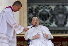 Papa Francisco a los fieles: buen Domingo de Ramos, buena Semana Santa (+ Detalles)