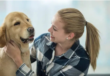 Un veterinario afirma que los perros se sienten ‘rechâzados’ cuando no se les permite hacer una cosa (+ Detalles)