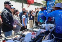 Delcy Rodríguez: hay garantía de abastecimiento de pescado en todo el país (+ Detalles)