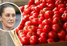 Sheinbaum busca evitār arancel de 21% en tomates mediante diálogo con Trump