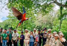 Liberan en Portuguesa 10 guacamayas bandera para garantizar su conservación (+ Detalles)