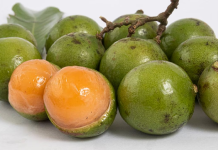 ¿Has escuchado hablar del Mamón o Maco? Una fruta rica en nutrientes que fortalece la salud integral
