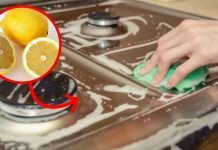 Deja tu horno reluciente con limón: el truco casero, eficaz y natural de la abuela
