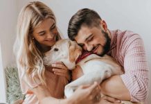Un estudio asegura que el apoyo emocional que ofrecen los perros a las personas hace que los prefieran a ellos en lugar de tener hijos