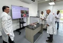 En Amazonas avanzan en la creación de un té con propiedades anticancerígenäs