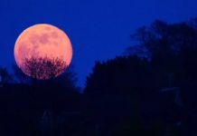 La Luna rosa: cómo el ciclo lunar conecta la Semana Santa con la astronomía y la tradición cristiana