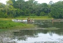 Un fällecïdø y tres hërīdös tras el despløme de un helicóptero de la Armada colombiana en el departamento de Bolívar