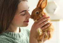 Conejos como mascotas: la variable de los perros por su inteligencia, sensibilidad y compañía