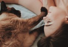 Según estudio, los gatos son capaces de detectar cambios hormönales de las mujeres