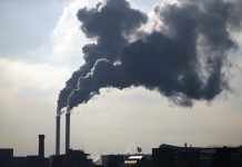 Científicos advierten sobre el vínculo directo entre aire contaminado y demencia