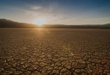El cambio climático hace estragos en la salud mental de América Latina