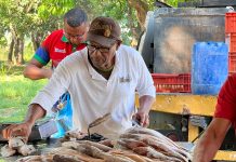 Alcaldía de Libertador efectuó Feria del Pescado «Semana Santa 2025»