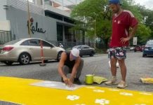 ¡Es una realidad! Crearon el primer paso vial para mascotas en Valencia