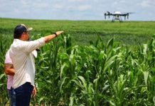 Guárico rompe récord histórico en producción de alimentos y se consolida como el corazón del llano