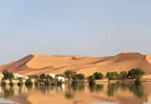 El desierto del Sahara fue una exuberante sabana verde y albergó a un misterioso linaje humano (+ Detalles)