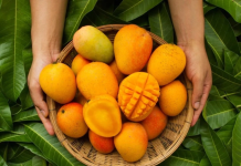 El Mango: más allá de la dulzura, un tesoro medicinal que beneficia la piel y el sistema inmune