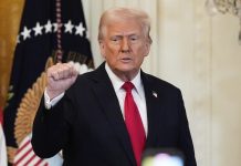 Entra en vigor los aranceles del 25% a vehículos importados en EE.UU., impulsados por la administración Trump