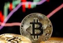El Bitcoin pasó a ser el quinto activo más valioso del mundo al superar a Google y la plata