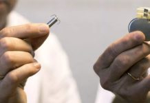 Científicos diseñan el marcapasos temporal más pequeño del mundo, revolucionando la tecnología médica y bioelectrónica